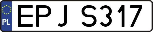 EPJS317