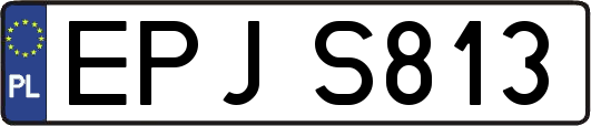EPJS813