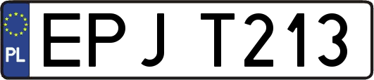 EPJT213