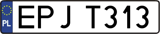 EPJT313