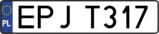 EPJT317