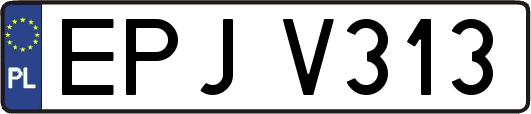 EPJV313