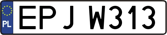 EPJW313