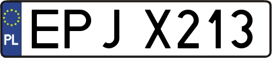 EPJX213