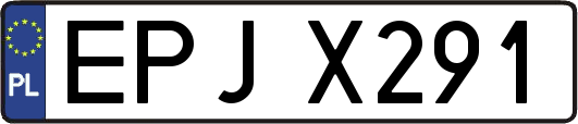 EPJX291