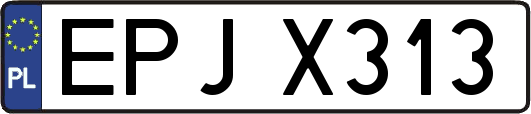 EPJX313