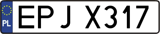 EPJX317