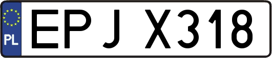 EPJX318