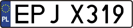 EPJX319