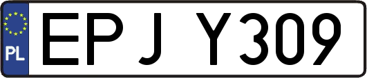 EPJY309