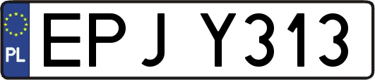 EPJY313