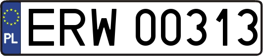 ERW00313