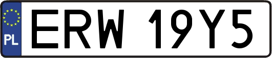 ERW19Y5