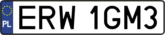 ERW1GM3