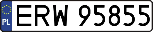 ERW95855