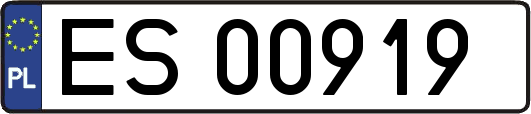 ES00919