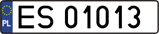 ES01013