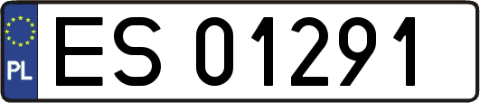 ES01291
