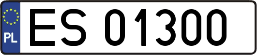 ES01300