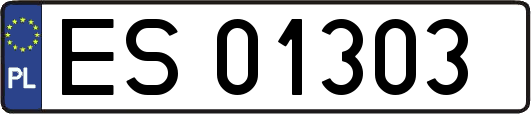 ES01303