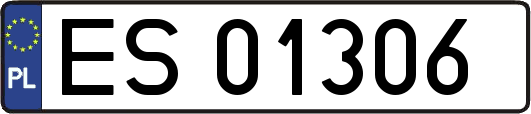 ES01306