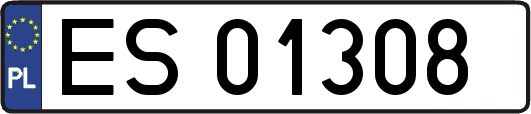 ES01308