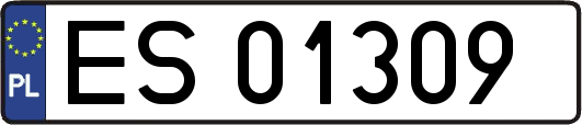 ES01309