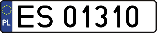 ES01310