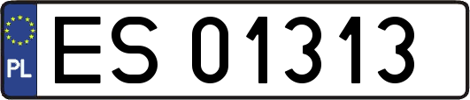 ES01313