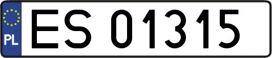ES01315
