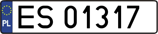 ES01317