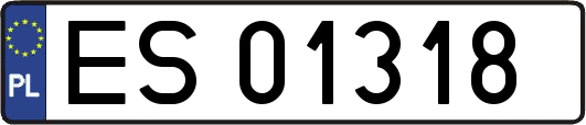 ES01318