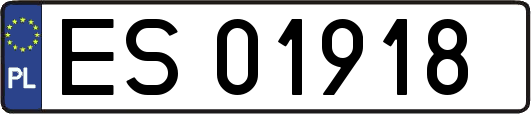 ES01918