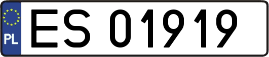 ES01919