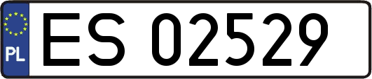ES02529