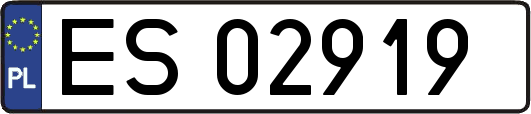 ES02919