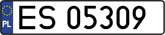 ES05309