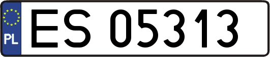 ES05313