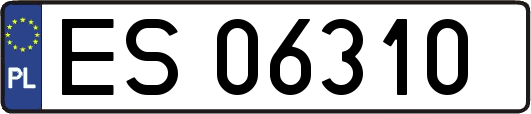ES06310