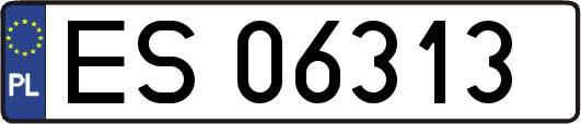 ES06313