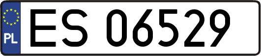 ES06529