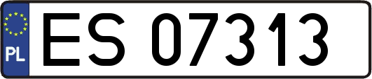 ES07313