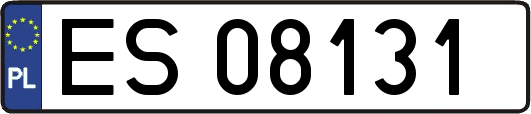 ES08131