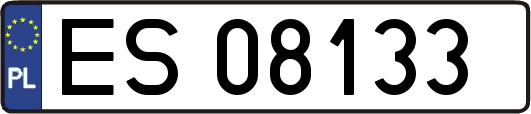 ES08133