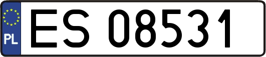 ES08531