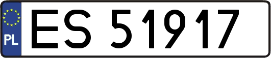 ES51917