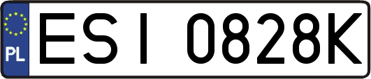 ESI0828K