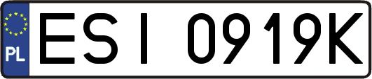 ESI0919K