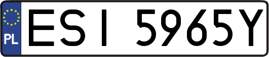ESI5965Y