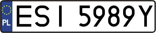ESI5989Y